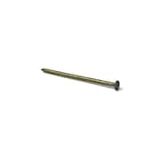 GRIP-RITE Common Nail, 3-1/4 in L, 16D, Steel, 9 ga 16SKR30BK